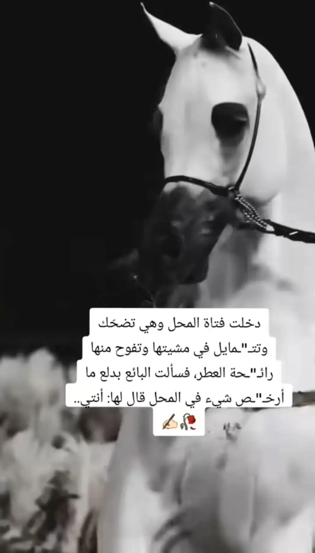 #اصبر_ياخي_فانا_الحياة_فانيه #لاحول_ولا_قوة_الا_بالله_العلي_العظيم #اسال_الله_ان_يغفر_لي_ولكم_وان_يعفو_عنا🤲 #الحمدلله_دائماً_وابداً #كرهتو_عيش_حياتي 