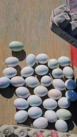 #1millionaudition #growmyaccount #foryoupage❤️❤️ #bottleflip #1millionaudition #foruyou #foryou#bottleflip 