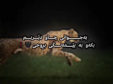 #مێزگزەمین #بیئێمەکــــــــــان #پاتڕۆڵ #وتە #مۆنیکا #بیئێم_و_زەمان🇩🇪😎 #bmw #پڵنگ 