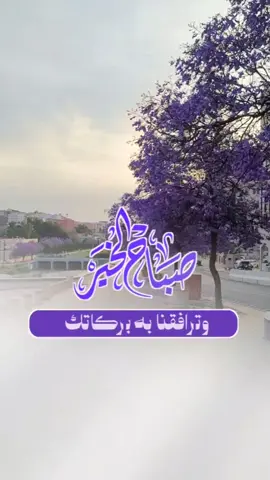 #صباح_الخير #صباح #صباحكم_معطر_بذكر_الله