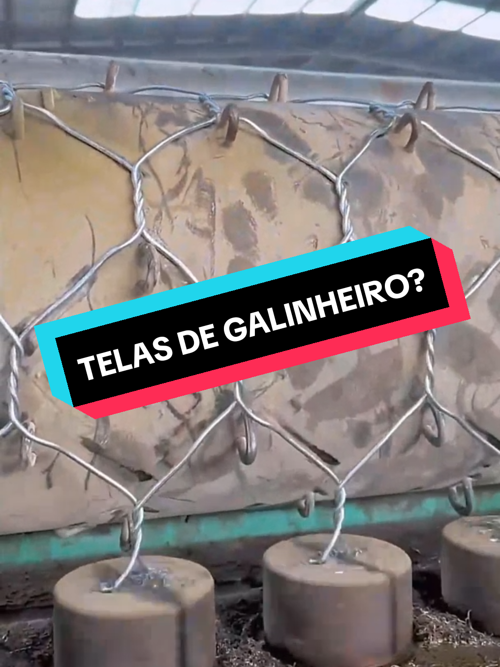 Como fazem telas de galinheiro? #curiosidades #trabalho #divertido #tecnologia 