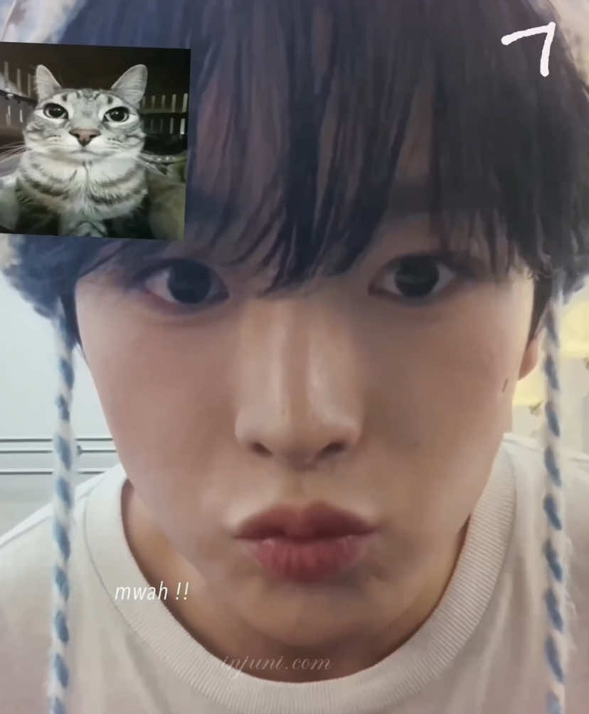 double post???😱 transition ib:@katia¹²⁷ #nct #nctwish #yushi #kitty #cute #edit #fyp #foryou #viral #silly #kpopedit #foryoupage #yushiedit 