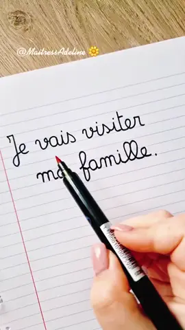 #apprendresurtiktok #finieslesfautes #60dicteespoursentrainer 