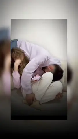 #ftpシ #cutecats 