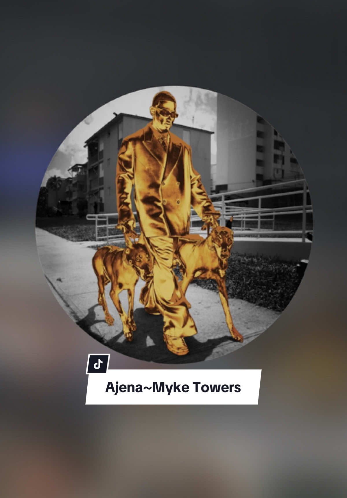 ~ella es ajena pero yo de ella me adueño🎶~ @Myke Towers #viral #trending #song #musicvibes #fyp#lyrics_songs #parati #foryoupage #canciones #letras #paradedicar #dedicar #amor #letrasdecanciones #capcut #oneminutesounds #bandido #frases_de_todo #frase #myketowers #ajena #cachos #mentiroso #mentirosa #mia #risa #mujer 