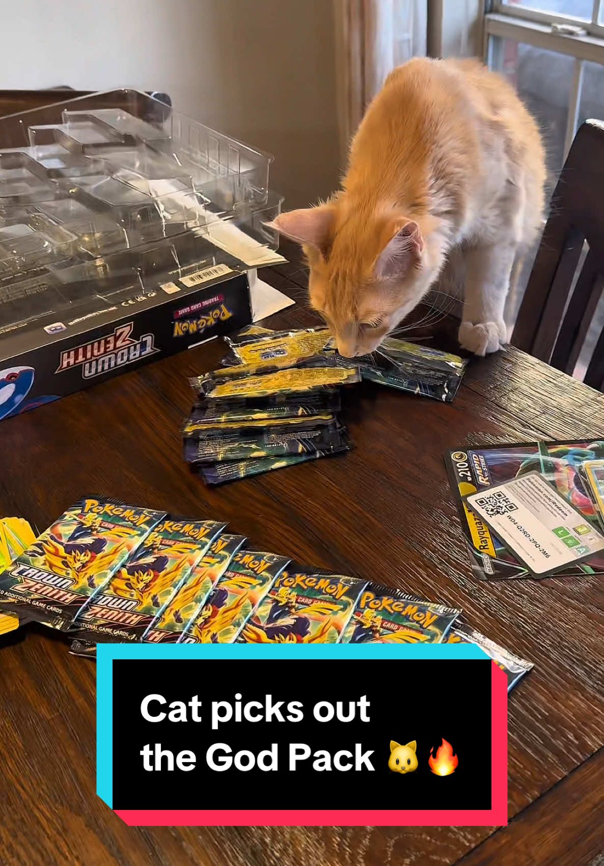 He got me my favorite card in the set! 🐱🔥 swear he’s the luckiest #pokemon #pokemoncards #crownzenith #arceus