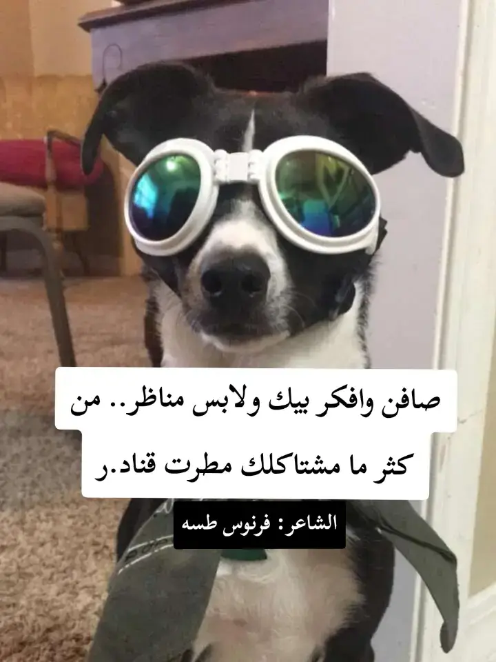 #اشعار_حزينه_موثره🥺💘 #اشعار_حزينه_موثره🥺💘 #اشعار_حزينه_موثره🥺💘 #شعر_حزين #اشعار_حزينه_موثره🥺💘 #شعر_حزين #اشعار_حزينه_موثره🥺💘 #شعر_حزين #اشعار_حزينه_موثره🥺💘 #شعر_حزين #اقتباسات_عبارات_خواطر #اشعار_حزينه_موثره🥺💘 #شعر_حزين 