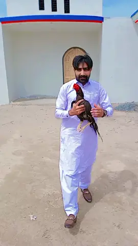 #faryou #pakistan #mandibahauddin #urope #france🇫🇷 #aseellovers 