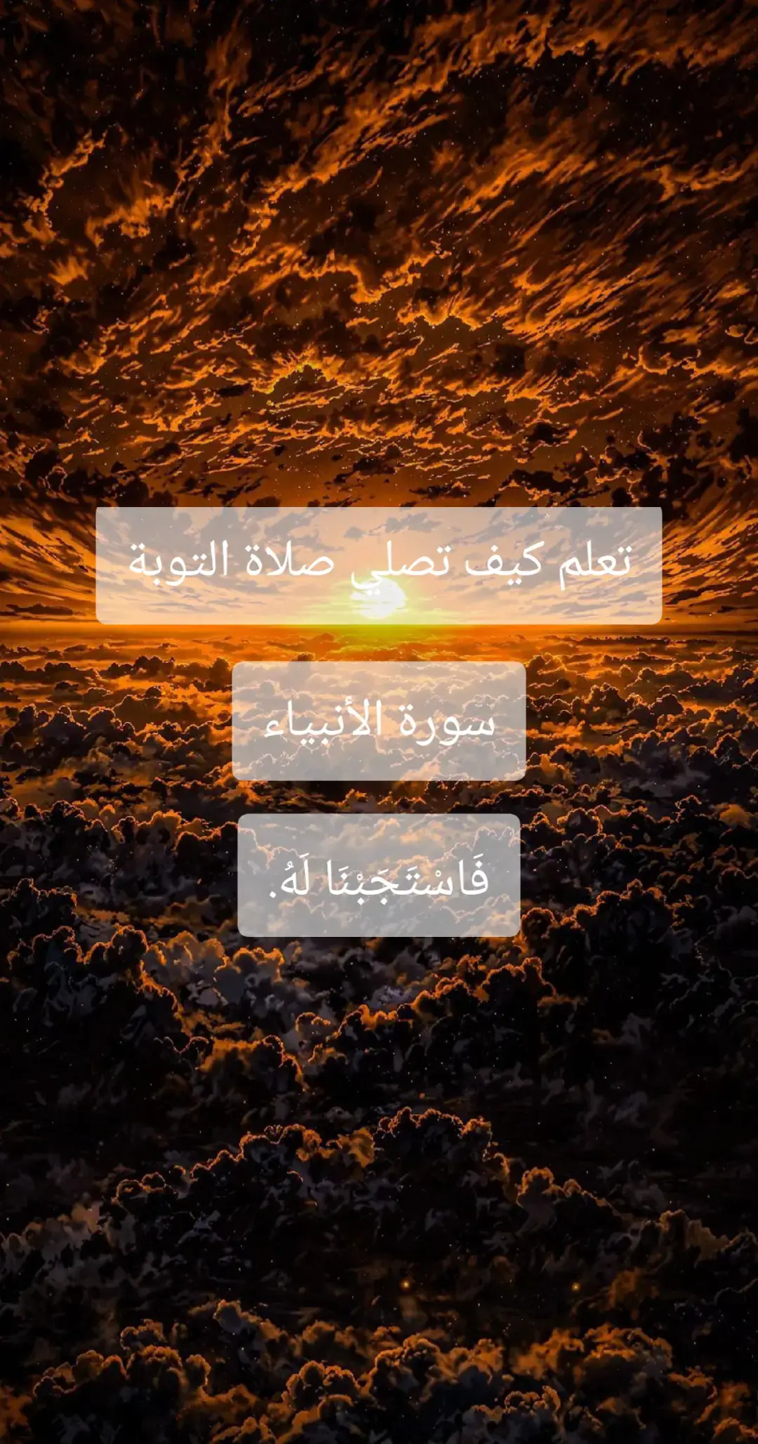 #اللهم_صل_وسلم_على_نبينا_محمد #تصميم_فيديوهات🎶🎤🎬 #الصلاه_علي_النبي #يارب_العالمين #صلوا_على_رسول_الله #استغفرالله_العظيم_واتوب_اليه #القران_الكريم_راحه_نفسية😍🕋 #ميمان 