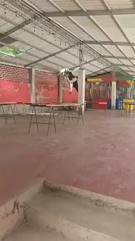 fue Francis!!! #malcolminthemiddle #humor #francis 