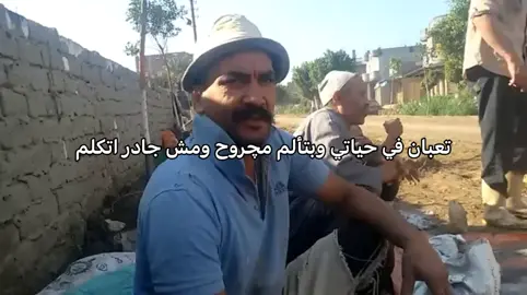 تعبان 