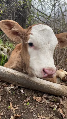 #f #k #fyp #foryou #keşfet #kesfet #kesfetteyiz #fy #keşfetteyizzz 