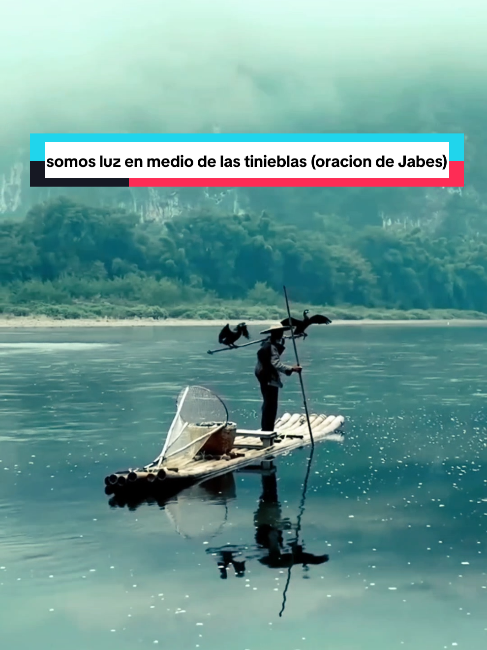 somos luz en medio de las tinieblas (oracion de Jabes) #inspiracioncristiana #palabradedios #reflexion #motivation #bryancaro 
