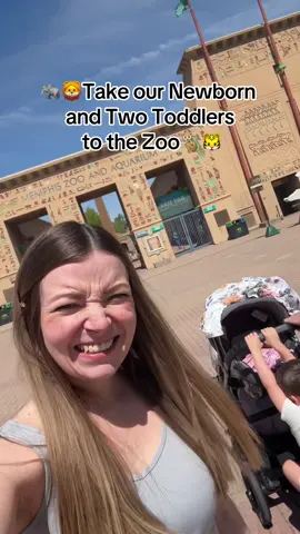 Come to the zoo with us! Recorde#zoo #CapCut #newborn #toddlers #postpartum #newbornbaby #babygirl #girlmom #boymom #pregnant #pregnancy 