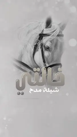 #شيله_خالتي   #شيلة #خالتي_غاليه  #شيلات_حماسيه #شيلة_مدح_خالتي_بدون_حقوق  #شيلات_خالاتي_حماسيه_بدون_حقوق  #شيلات_2025_خالتي_غاليه_والحفل_غالي #شيلات_بدون_موسيقى  #شيلات_بدون_حقوق  #زفات_بدون_موسيقى  #استديو_عين_الخليج_الشيلات 