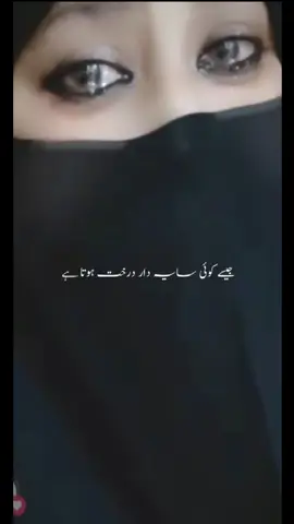 #CapCut @samir_ali_ansari 