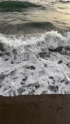 #explore #اكسبلور #fyp #foryou #viral #foryoupage