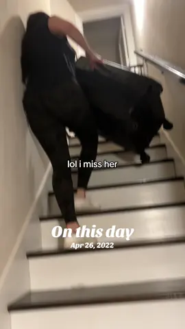 #onthisday 
