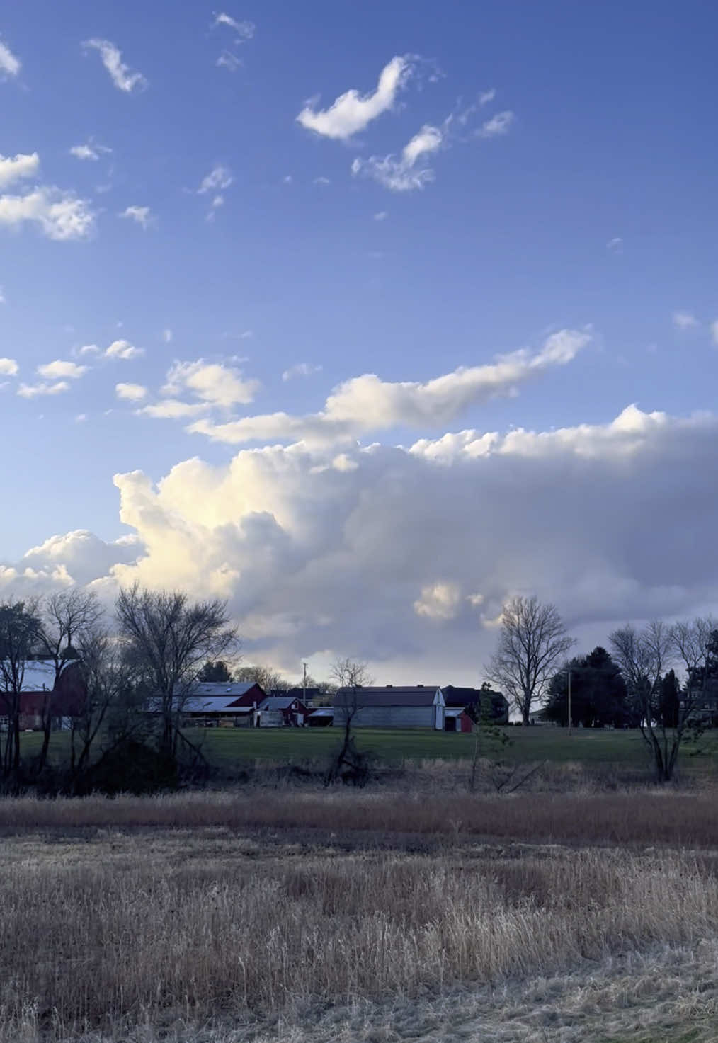 i love this path #nature #gutgutterzz #fyp 