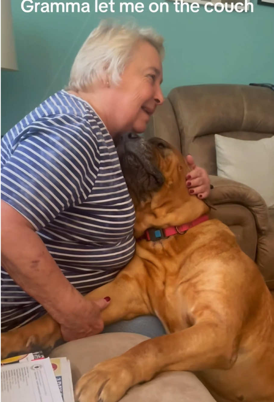 Dogs will be the ultimate companion for seniors😭#dog #cute #Love #dogsoftiktok #dogsvideo #bestfriend  #puppylove #foryou #animals #pets 