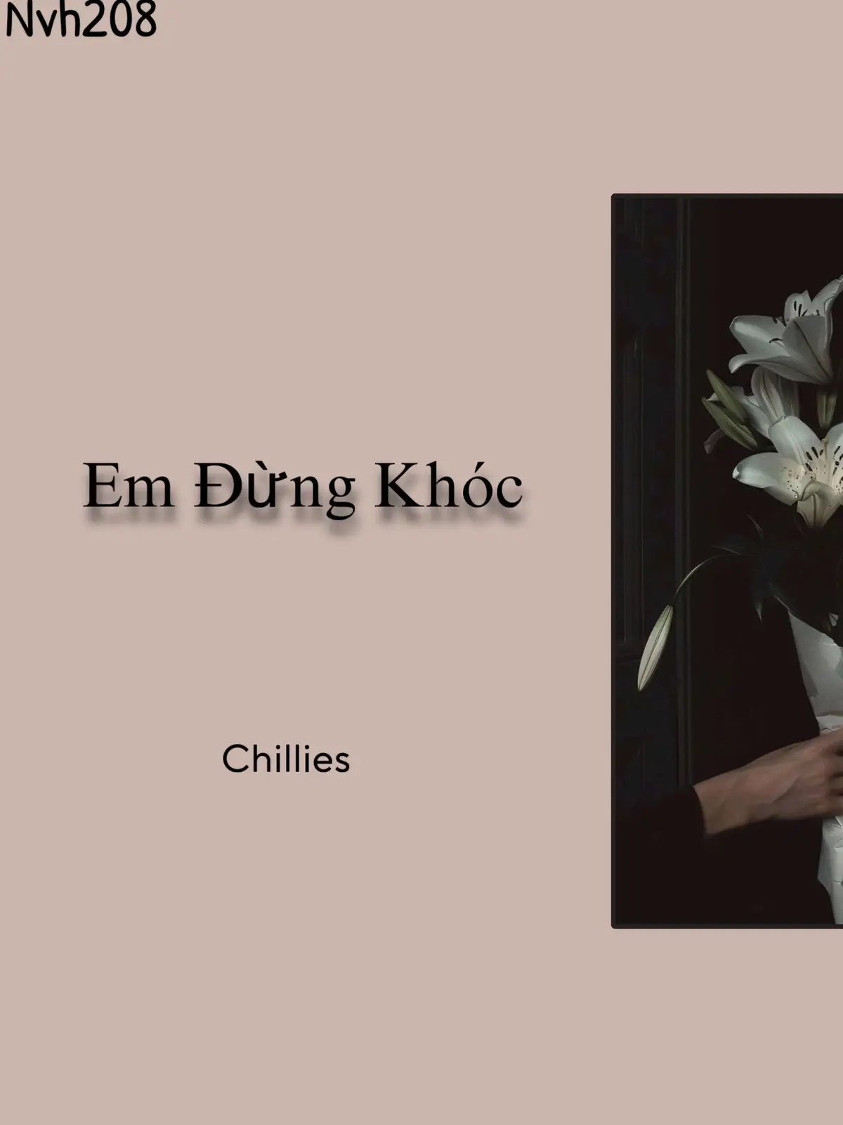 Em đừng khóc nếu tình mình chưa thành hình hài #nvh208 #nguyenvhieu208 #14th11 #chillies 