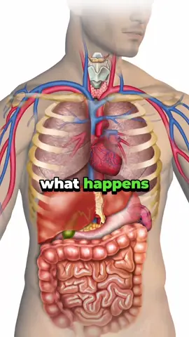 If you eat spinach everyday, what happens to your body #spinach #health #healthylifestyle #healthtips 
