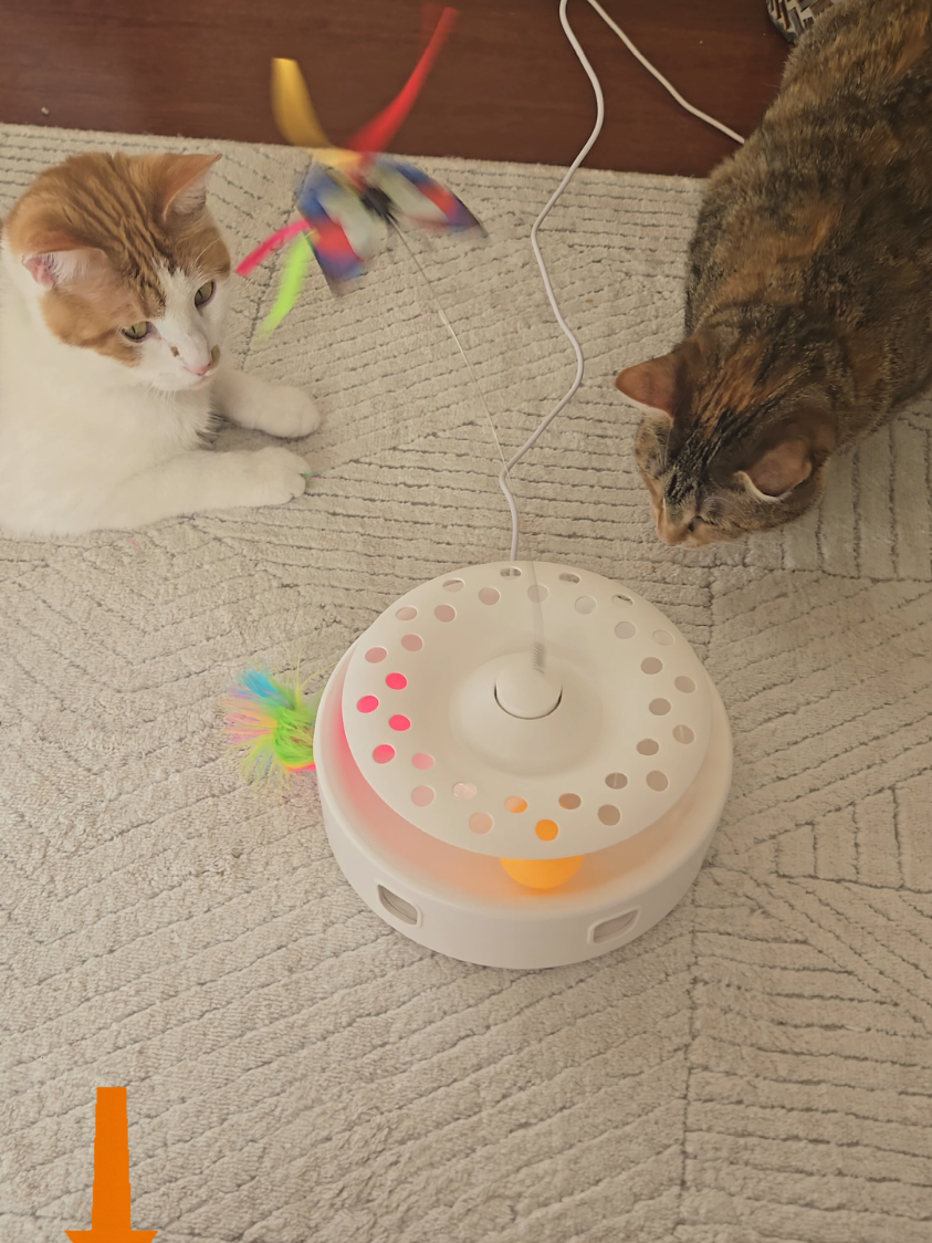 #potaromapets #3in1interactivecattoy #butterflycattoy #cattoys #feathercattoy #ballcattoy #catrescue #orangecats #newkitten #kittenseason #catrescue #animalrescue #litterbox #catsupplies #calicokitten #fyp #Ilovecats #Aprilrestock #cutecats #catdaddy @Potaroma Pets 