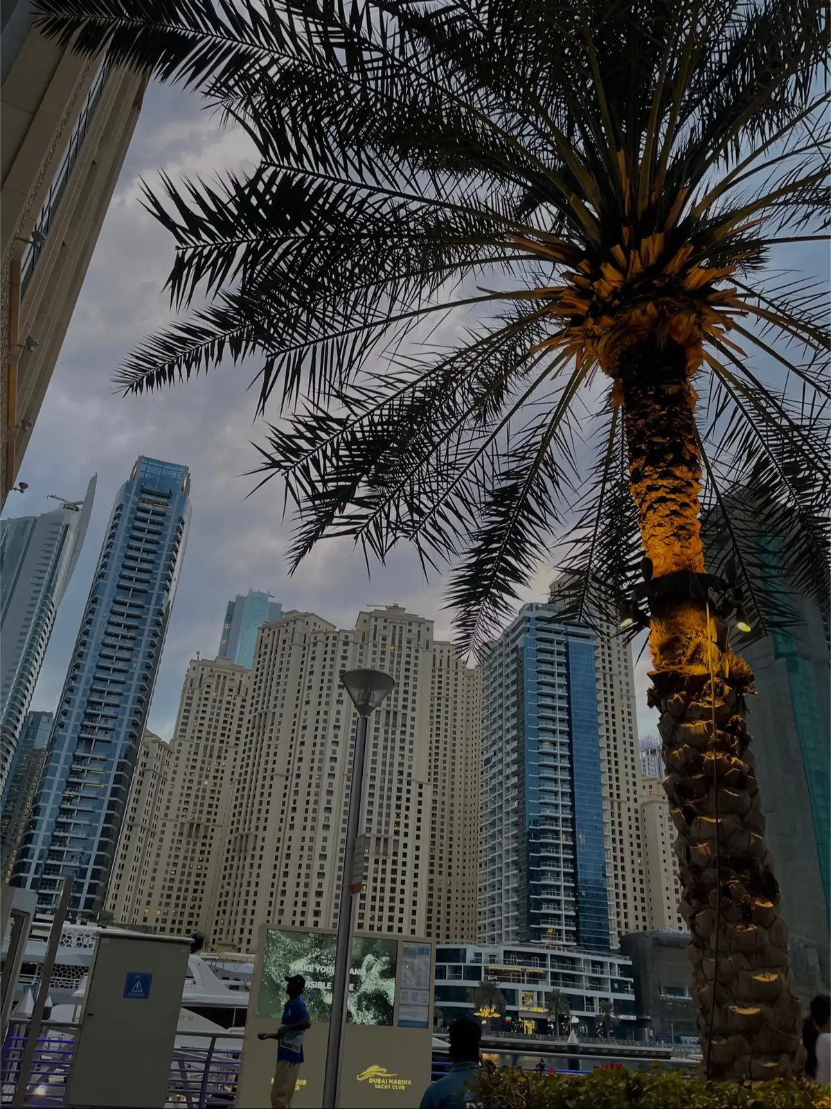 #fypシ゚viral #fyp #dump #dubai 