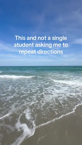 ☀️ 🐚 