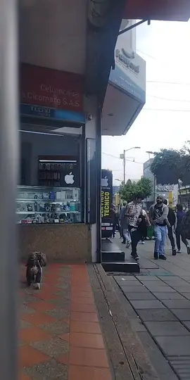 #Viral #chapinero #elceladog #paratiiiiiiiiiiiiiiiiiiiiiiiiiiiiiii #amorperruno @JESUS VILLAMIZAR. 