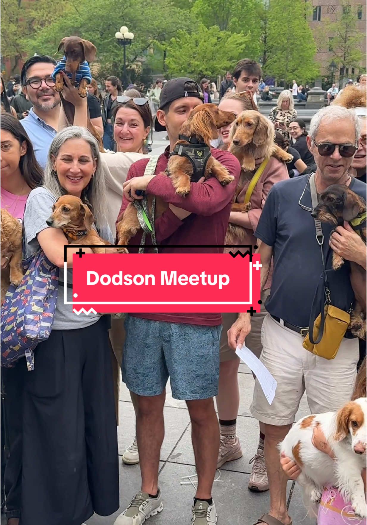 Did you know? For the past 35 years, every first Saturday in October and every last Saturday in April there has been a Dodson meetup and sing along 🥰 See you at the next Dodson Octoberfest and Spring Fiesta 🙌 #doxie #dodson #wsp #washingtonsquarepark #meetup 