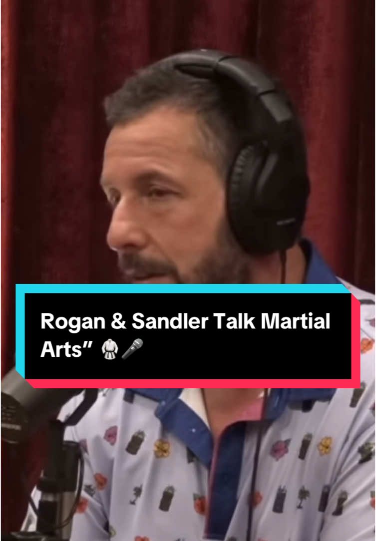 Adam Sandler is an actor, comedian, and producer known for his work in films like 