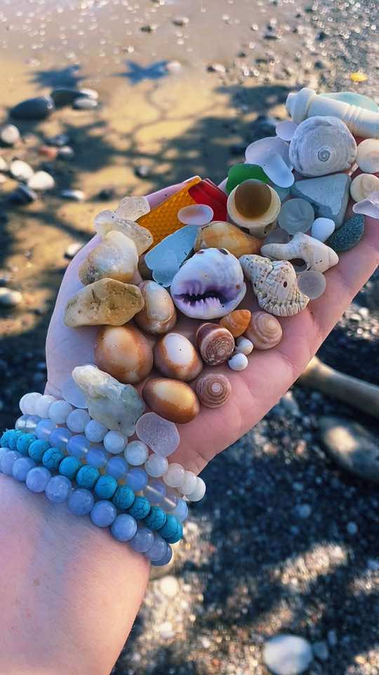 #drupeshell #beachtreasure #beachcomber #mauihawaii #hawaiishells #seaglass #seamarble #seapottery #seacrystals #milkglass #reflector #sparkplug #washedup 