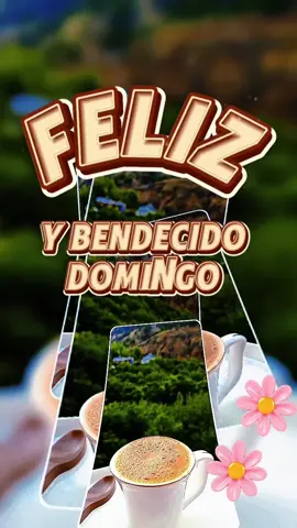 #felizdomingo #buenosdias #paratodos #reflexion 
