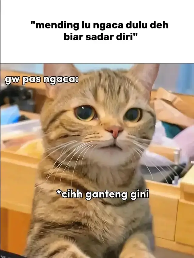 micimicimici#apioquijano #panama #pandawaragroup 