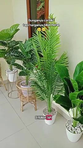 Tanaman artificial #tanamanartificial  #bungaplastik  #fyp  #fyppppppppppppppppppppppp 