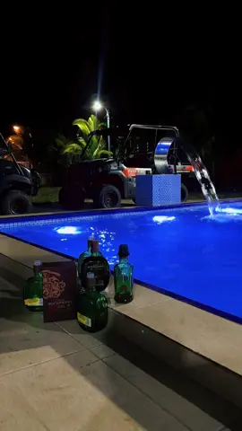 🥃🥃🥃 #findesemana #sabado #buchanansdeluxe #piscina #elmayordelosrana🐸 #amigos #compartir #fiesta 