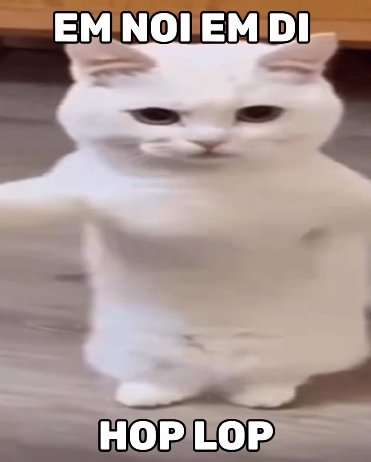 tri tra vai lon #fyp 