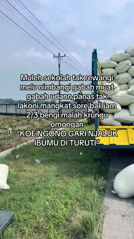 Terah penak sing nyawang🫠#masukberanda #xyzabc #xyz #fouryoupage #4u #fyp #fypシ゚ #fypシ゚ #sad #story #gabahbalap🌾 #wongtani 