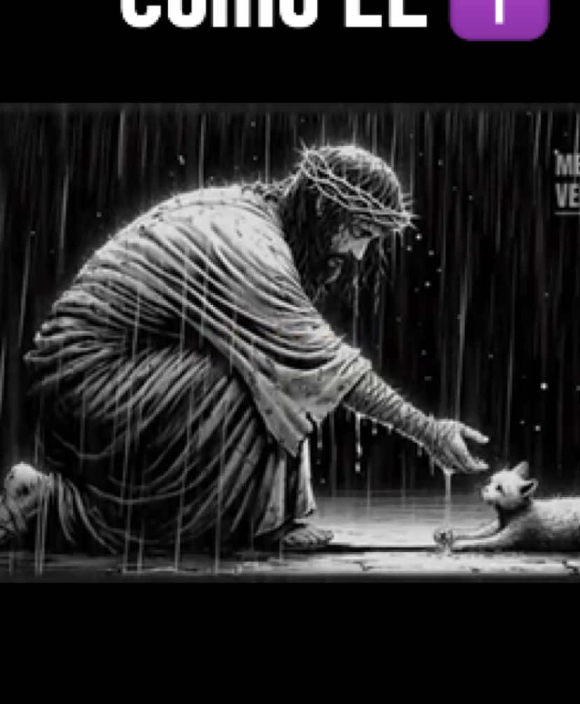 🌿♎️SE HUMILDE SE COMO EL✝️  - Siguenos En TikTok: @jrestoico  #jrestoico #mentalidadvencedora #estoico #motivational #motivacion ¿Por qué, a pesar de nuestros logros, muchos seguimos sintiéndonos vacíos? ¿Por qué luchamos tanto por reconocimiento, respeto y validación externa… y aún así nos cuesta dormir tranquilos? Este video es una confrontación directa con una de las verdades más incómodas y olvidadas: la humildad, esa virtud que no brilla en redes sociales, que no se premia con likes, pero que es capaz de cambiar tu vida desde dentro. Nos inspiramos en el acto más radical de amor y humildad de la historia: cuando Jesucristo, teniendo todo el poder del universo, eligió ponerse de rodillas y lavar los pies de sus discípulos. No para aparentar. No para agradar. Lo hizo para mostrarnos el camino real hacia la paz, la libertad y el propósito.  #jrestoico #estoico #mentalidadvencedora #motivacion #se #jesus #cristo #humildad #humilde #sehumilde 