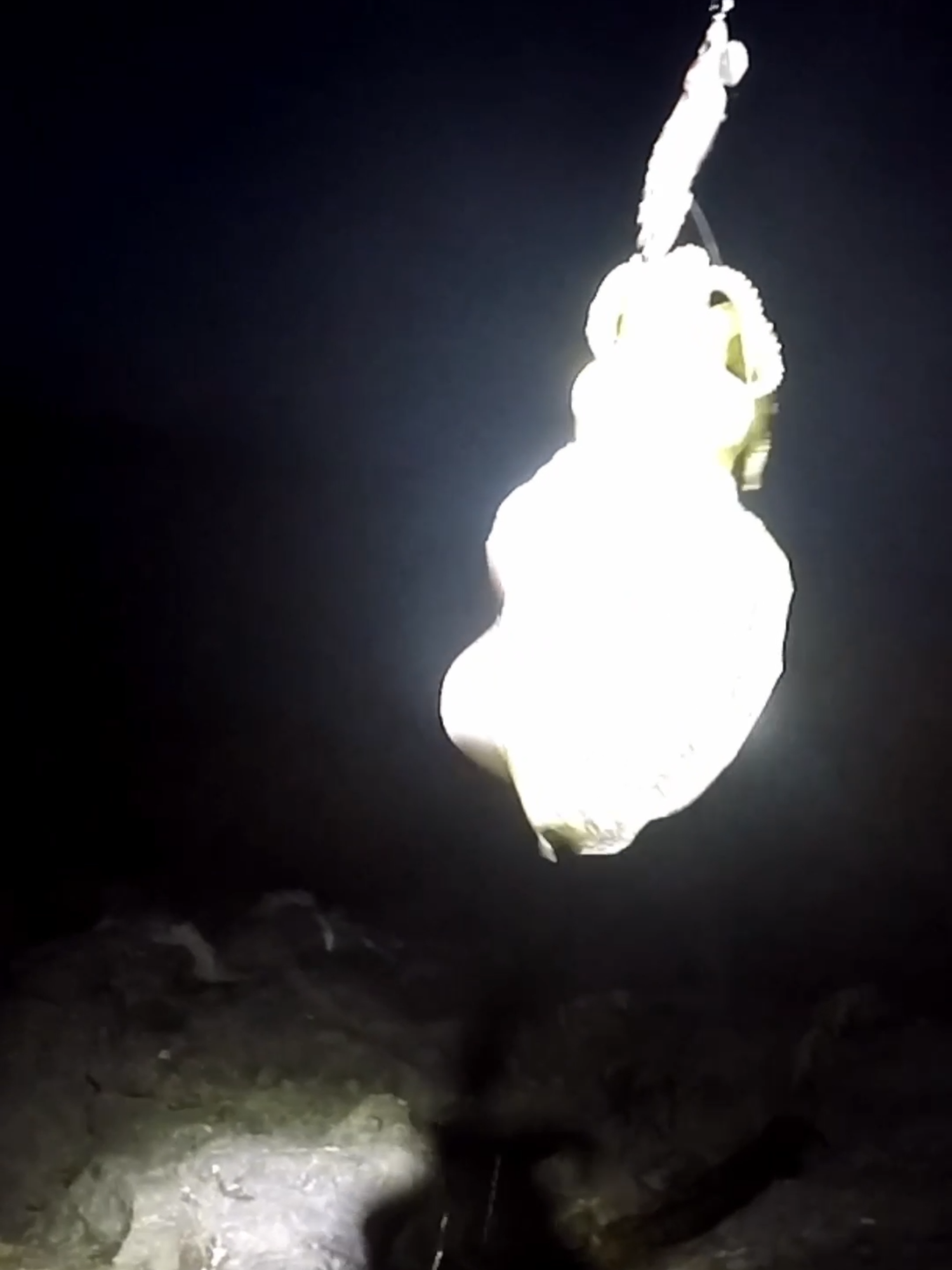 SEPION! #pesca#sepia#oropesa#gustavocsgoyt