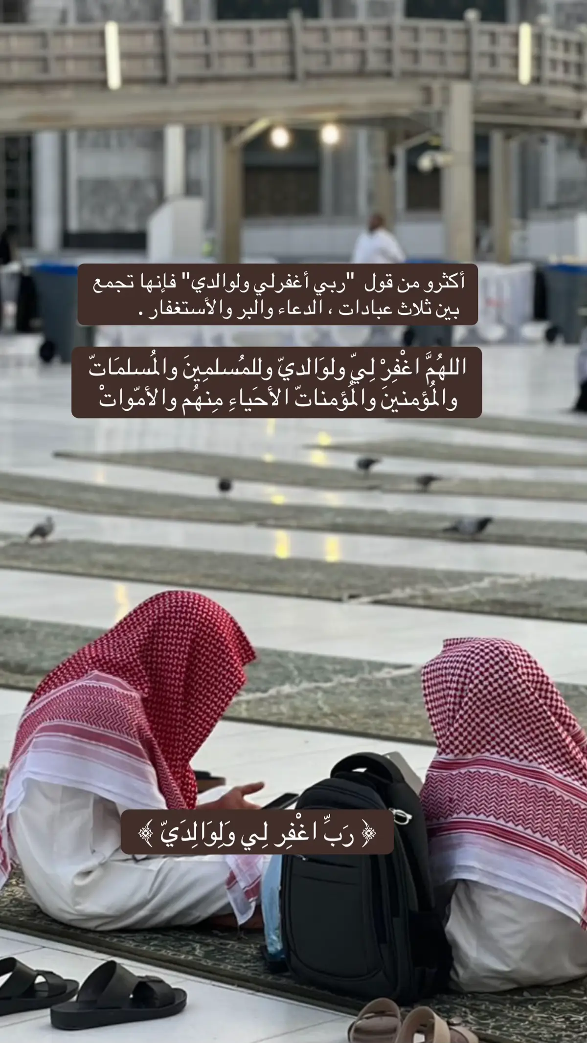 #ربي_اغفرلي_ولي_والدي_للمسلمين #اللهم_صل_وسلم_على_نبينا_محمد #اللهم_لك_الحمد_ولك_الشكر_حتى_ترضى 