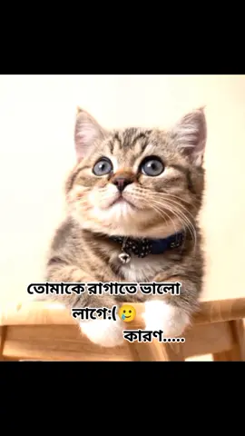 _-বুঝলানি😆#fyp #fy #foryou #for_you_trick #foryoupage #fyppppppppppppppppppppppp 