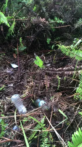 bukit entajak penuh dengan lautan awan#fyppppppppppppppppppppppp 