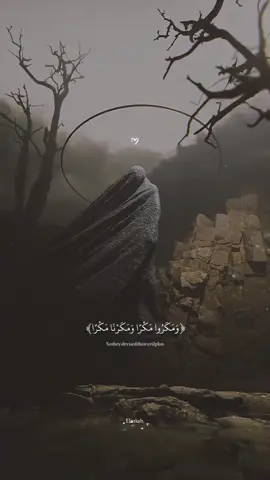 أرح سمعك وقلبك 😴🎧❤️‍🩹 تلاوه جميله وهادئه 🖤🎧✈️ القارئ اسلام صبحي 🖤🎧 #quran #quran_alkarim #foryou #fyp #makahmadina🕋 