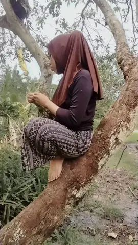 makanya saya suka menyendiri 🤣🤣#fypシ゚viral #videoviral #ayuputripaser😘 #bawepaser❤️ #videolucungakak #videokomedi #