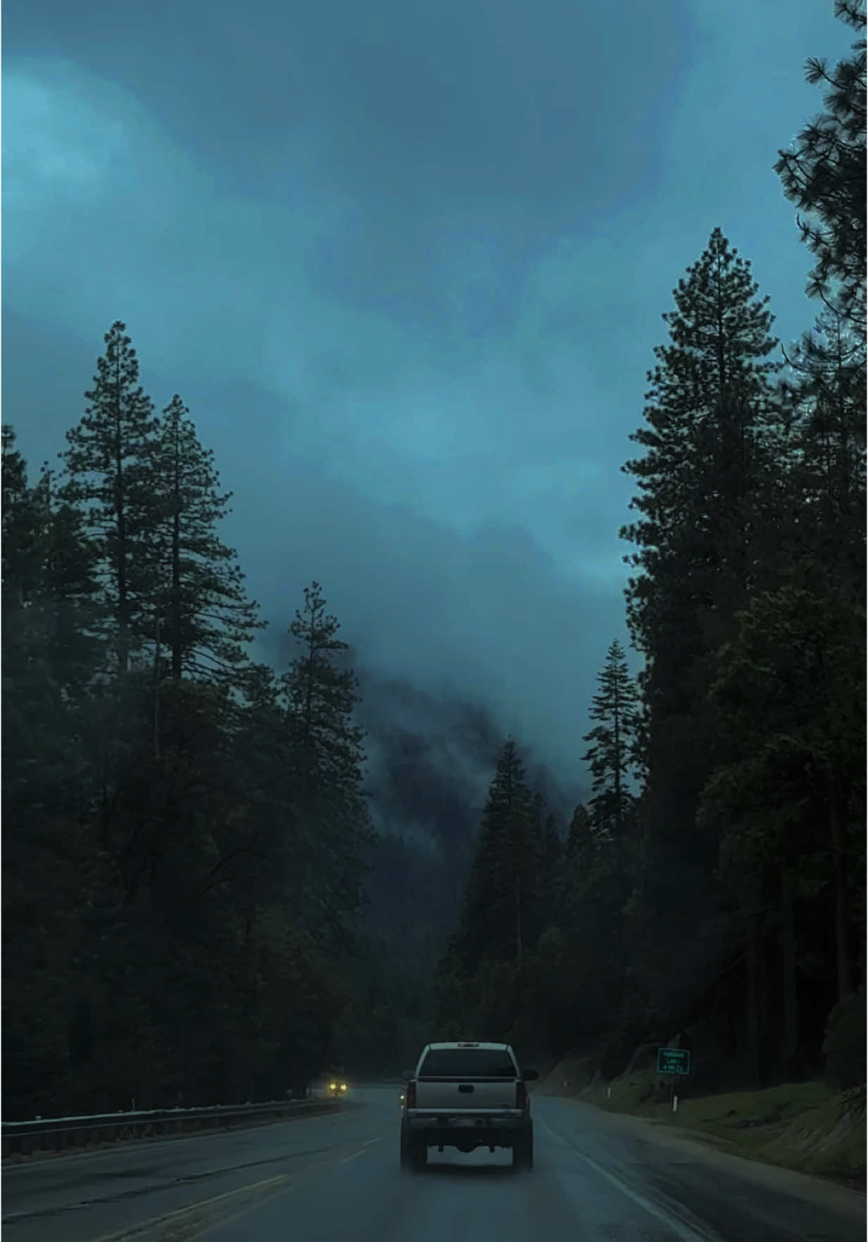 «Feels like the scene where the real story begins»🕊️ #aesthetic #naturevibes #dreamscape #cinematic #moodyvibes #foggy #roadtrip #intothewild #mysticforest #fyp 