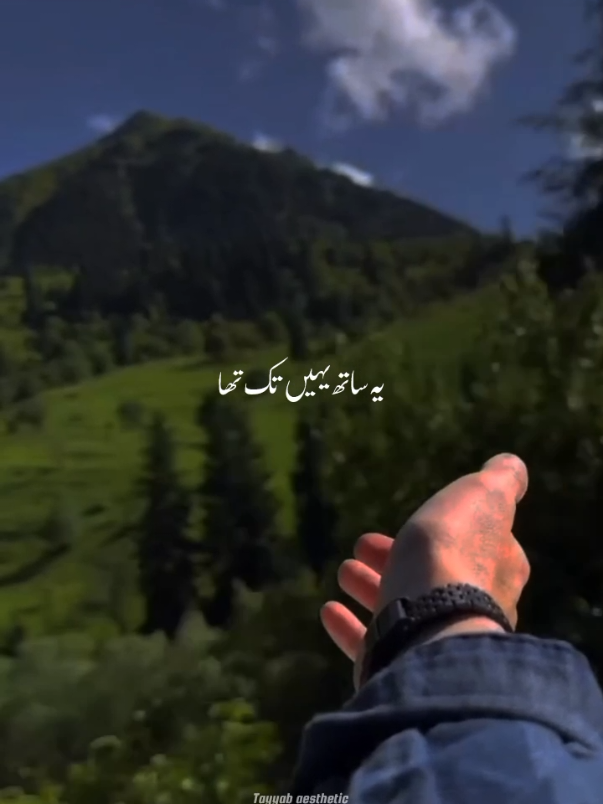 Zihal-e-Maskin 🥹❤️‍🔥 || Repost Request || #deartiktokteamdontunderviewmyvideos #deartiktokteamunfreezmyaccound #aesthetic #tayyabaesthetic #editing #lyrics #Song #zihalemiskin #vishalmishra #grow #views #foryoupage 