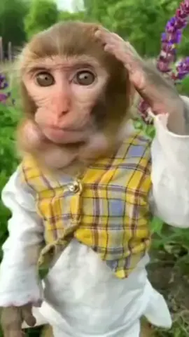gachi mychi
