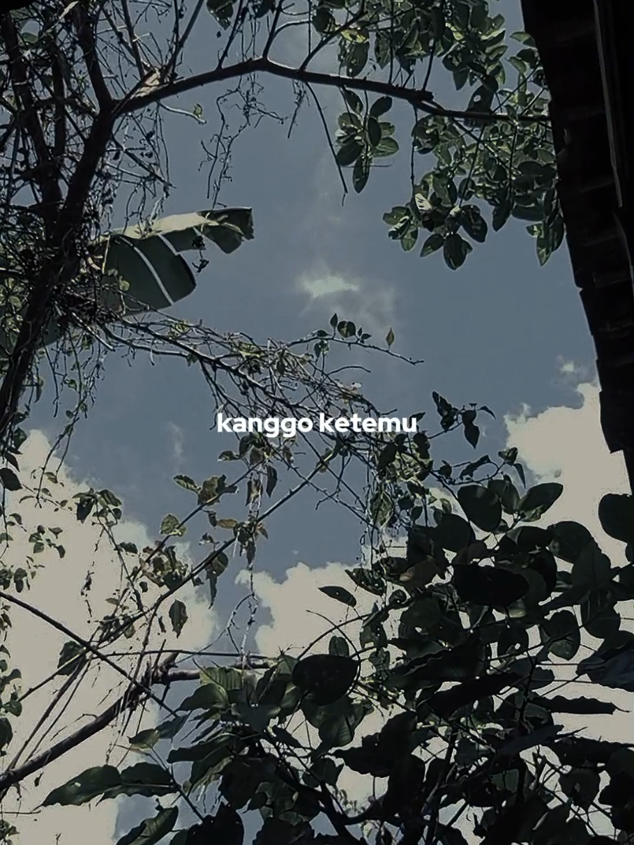 🕺🎧 #overlay #liriklagu #fyp 